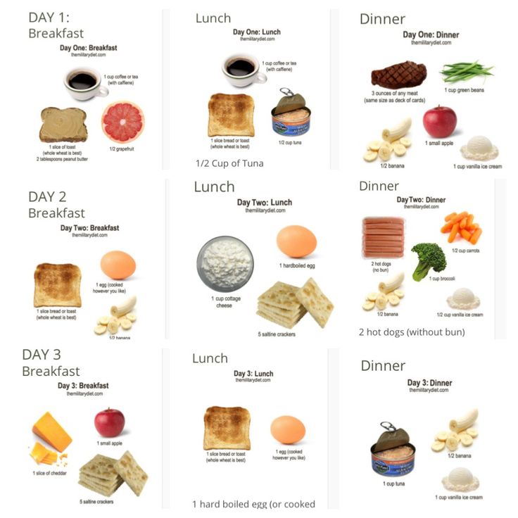 3 Day Diet Plan With Pictures